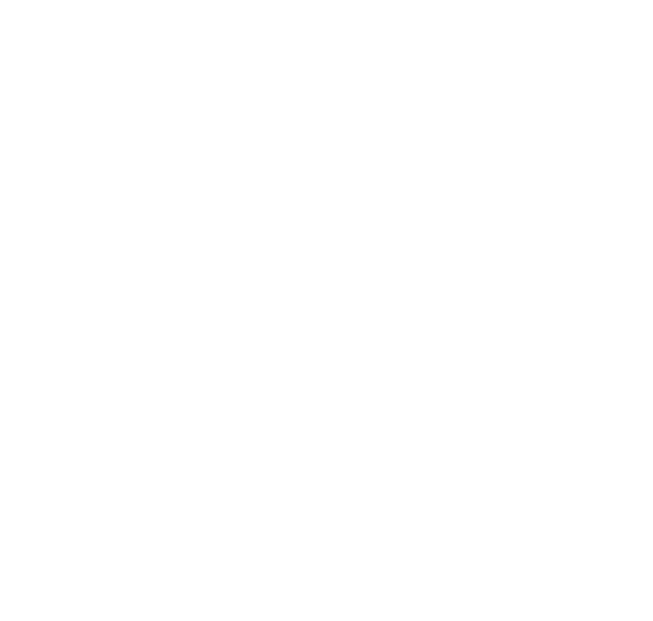 Spirit Hippotherapy Logo